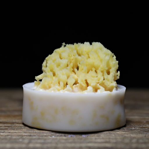 Agave Sea Sponge Soap